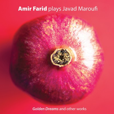 amir-farid